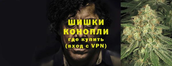 соль ск Каменногорск