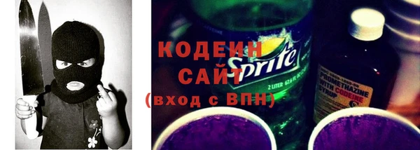 соль ск Каменногорск