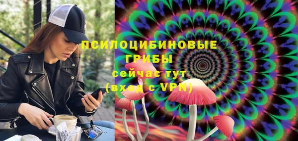 не бодяженный Карпинск
