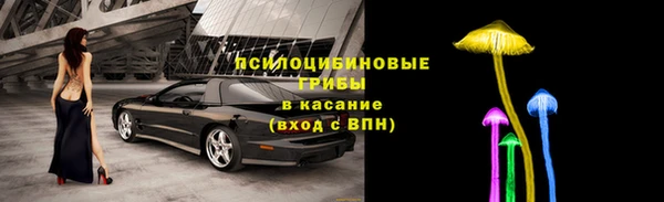 герыч Касимов