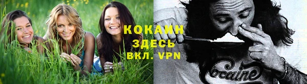 прущие крисы Каменск-Шахтинский