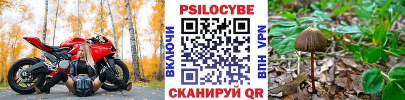 Галлюциногенные грибы Psilocybe  купить   Мелеуз 